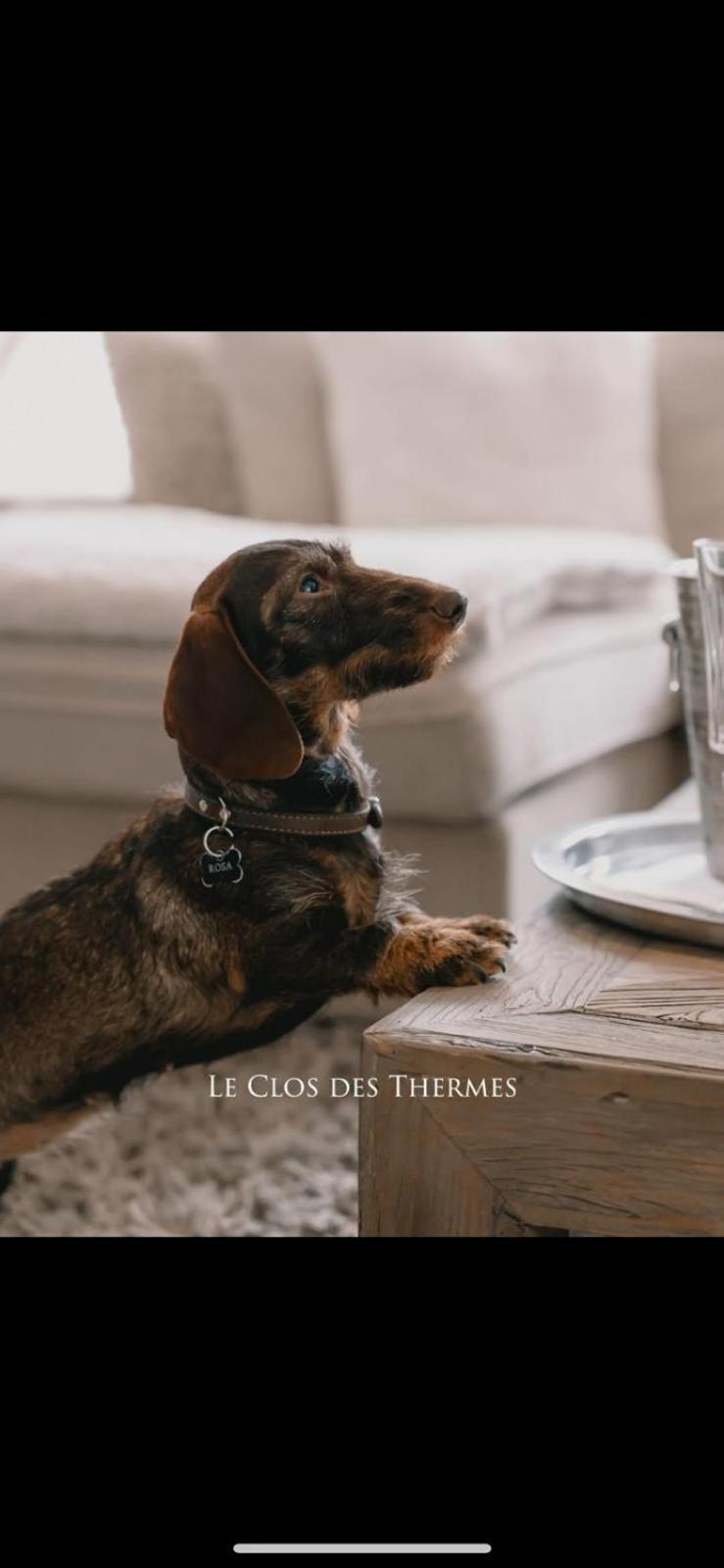 Clos Des Thermes-secret Garden Hotel Luik